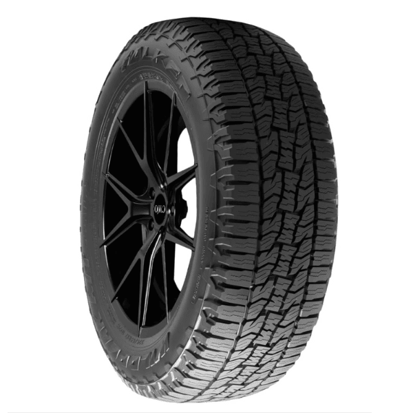 225/60/R/17 FALKEN WILDPEAK A/T TRAIL 99H