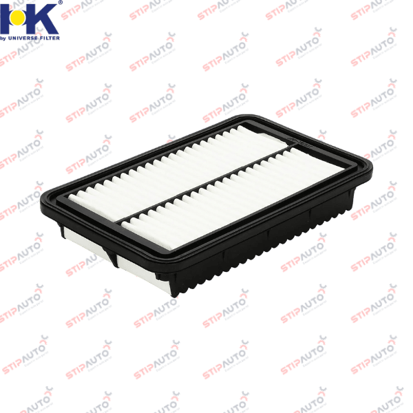 Filtro de Aire 28113-1Y100